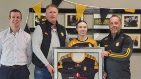 Minnis Developments extend sponsorship of Dunshaughlin & Royal Gaels
