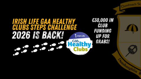 Irish Life GAA Healthy Clubs Steps Challenge 2026